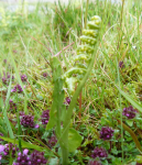 Screen Shot 2015-07-13 at 13.27.37